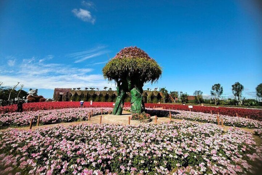 Discover Da Lat: Full-Day Tour of New Attractions in 2024