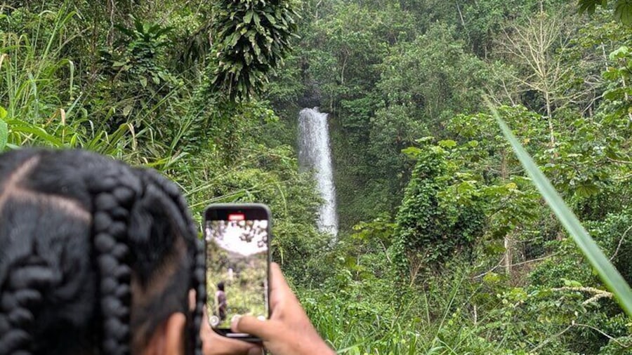 Authentic Jamaica: A Local's Guide Tour