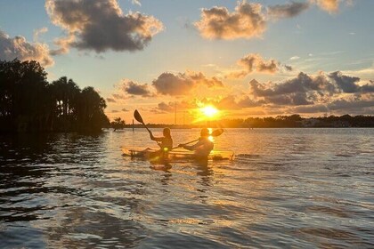 Clear Kayak Manatee Viewing Sunset and Glow Tour of Crystal River