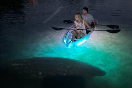 Clear Kayak Manatee Viewing Sunset and Glow Tour of Crystal River