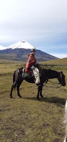 Cotopaxi Volcano: Full-Day Horseback Ride Hike for Beginners