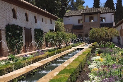 Guided visit Alcazaba, Generalife y Partal