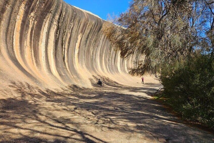 Wave Rock from the beginning