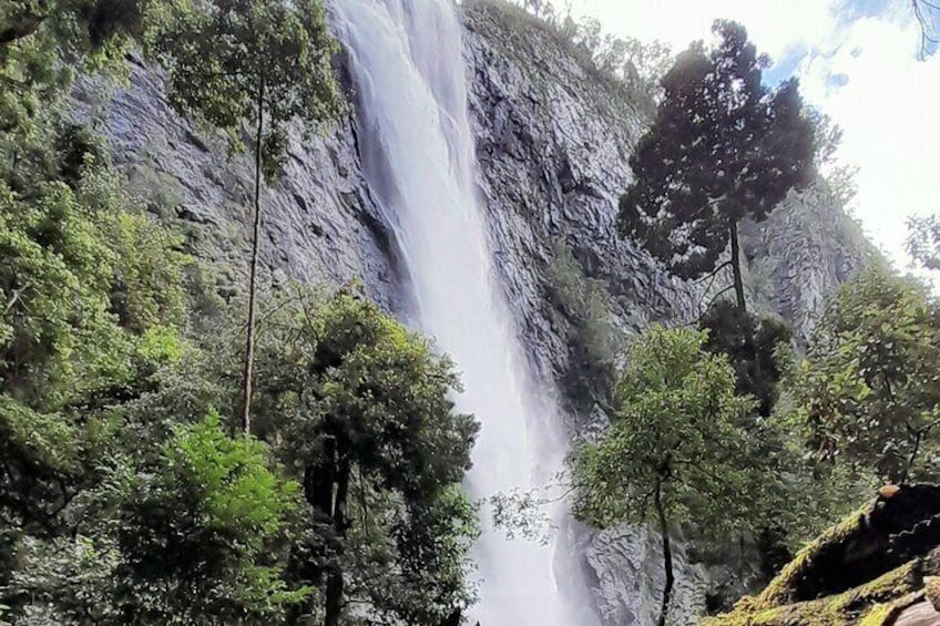 Day trip to experience the Port Macquarie Hastings Hinterland