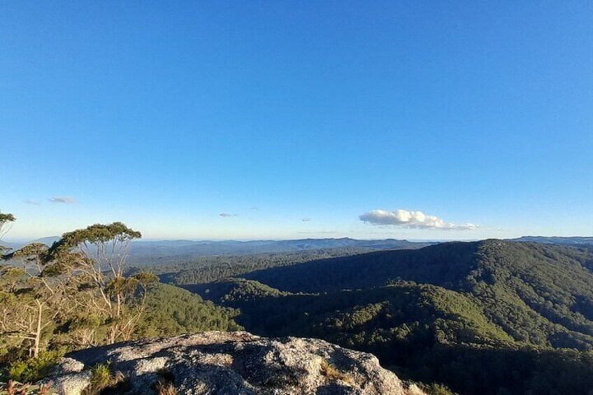 Day trip to experience the Port Macquarie Hastings Hinterland