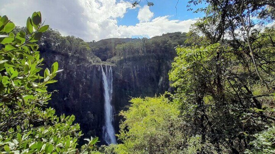 Day trip to experience the Port Macquarie Hastings Hinterland