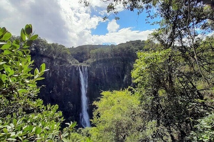 Ellenborough Falls & Comboyne Rock day tour from Port Macquarie