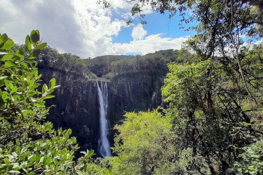 Day trip to experience the Port Macquarie Hastings Hinterland