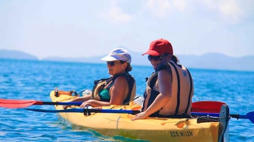 Airlie Beach: Half Day Turtle Tour Sea Kayaking Adventure