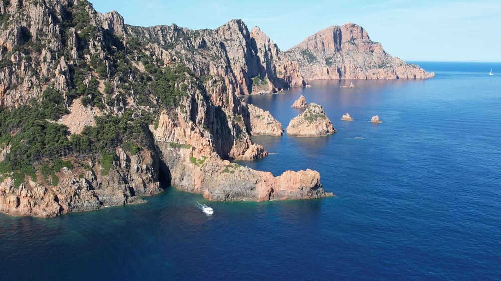 Picture 4 for Activity Scandola: visit the nature reserve from Porto (France)
