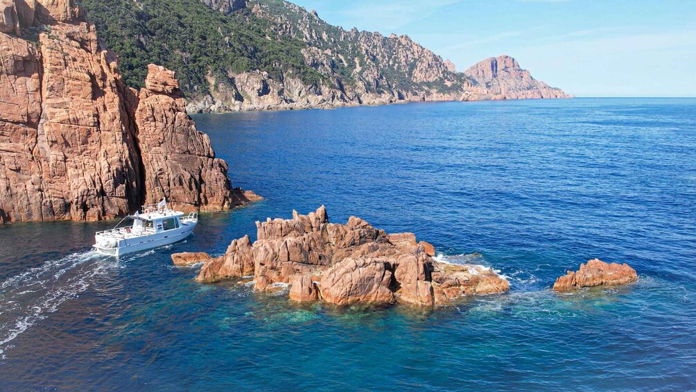 Picture 2 for Activity Scandola: visit the nature reserve from Porto (France)