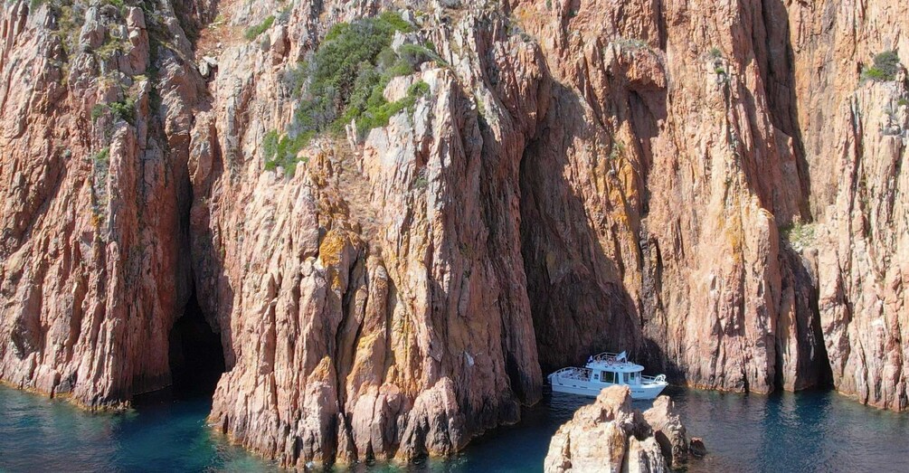 Picture 9 for Activity Scandola: visit the nature reserve from Porto (France)