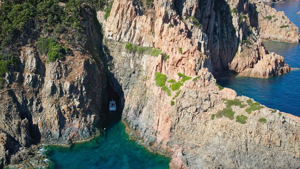 Picture 4 for Activity Scandola: visit the nature reserve from Porto (France)