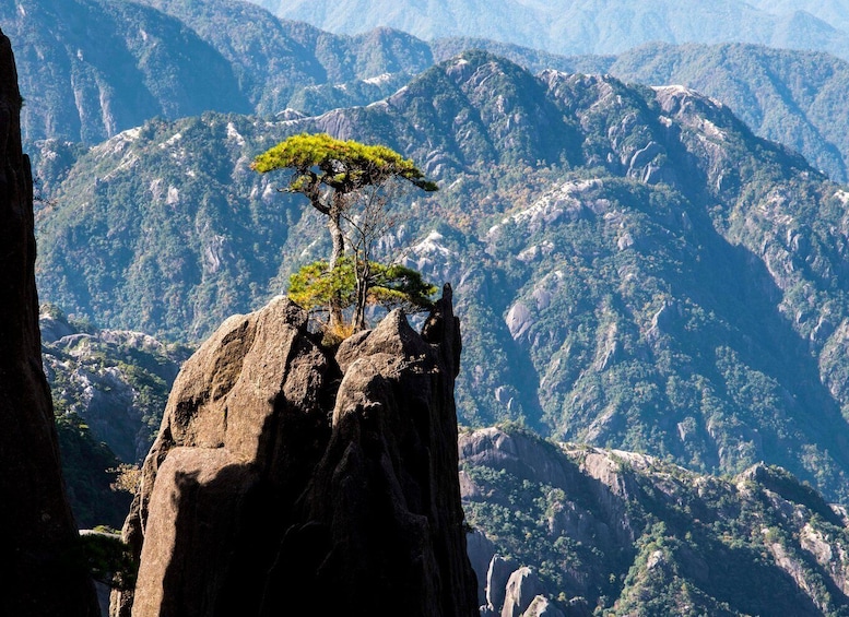 Picture 1 for Activity 2 Days Huangshan Group Tour for Essence of Yellow Mountain