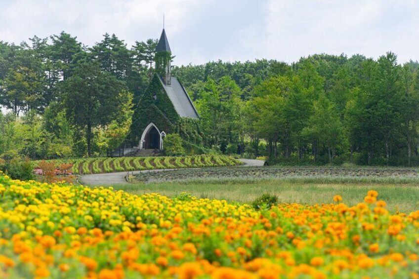 Kamikochi Enchanting Landscapes & Seasonal Beauty From Nagoya