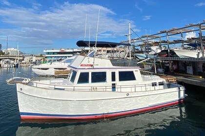Party Boat at San Juan Bay | Sunset Cruise | Drinks & Snaks