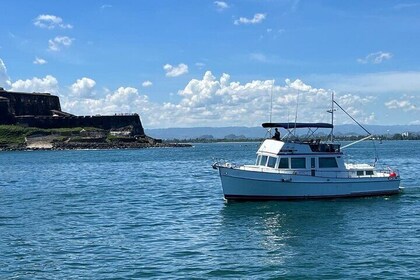 Sunset Private Food Tasting Cruise in San Juan Bay