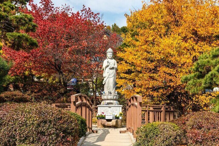 Seoul Gangnam Night Tour with Gourmet Dining and Temple Visit