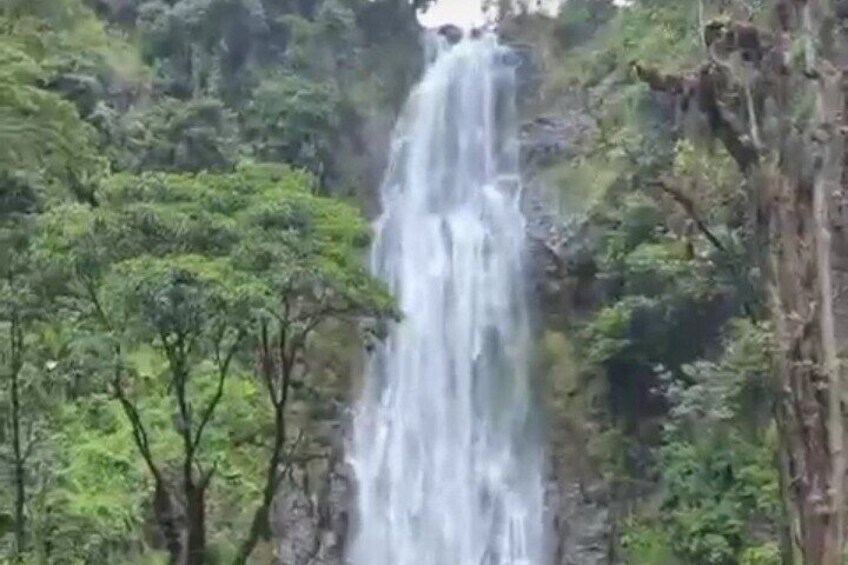 Private Materuni Waterfall & Coffee Tour – Full-Day from Moshi