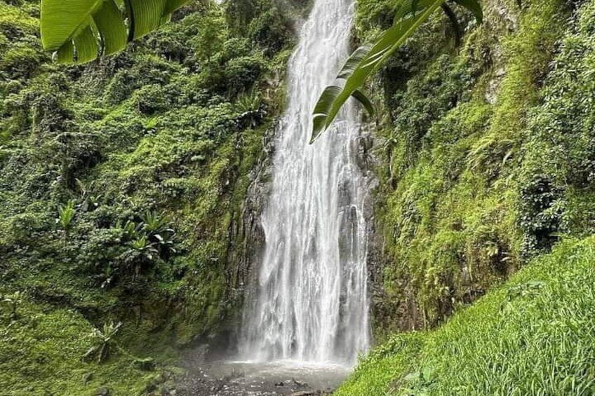 Private Full Day Materuni Waterfall and Coffee Tour from Moshi