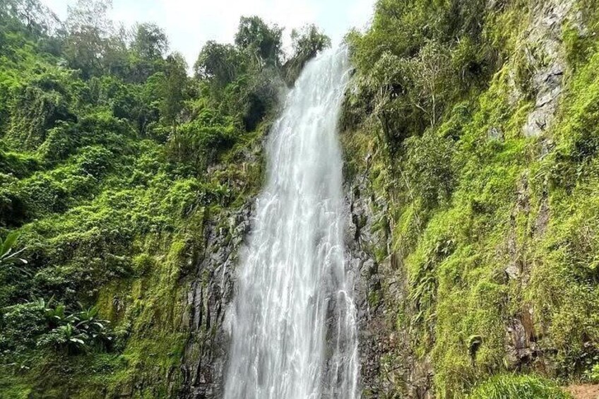 Private Full Day Materuni Waterfall and Coffee Tour from Moshi