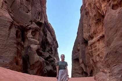 Wadi Rum Private Guided Tour From Aqaba Port