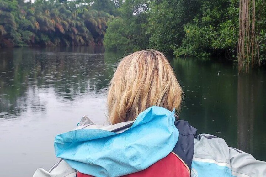  Kayaking Tour in Gandoca Lagoon throug mangrove forest