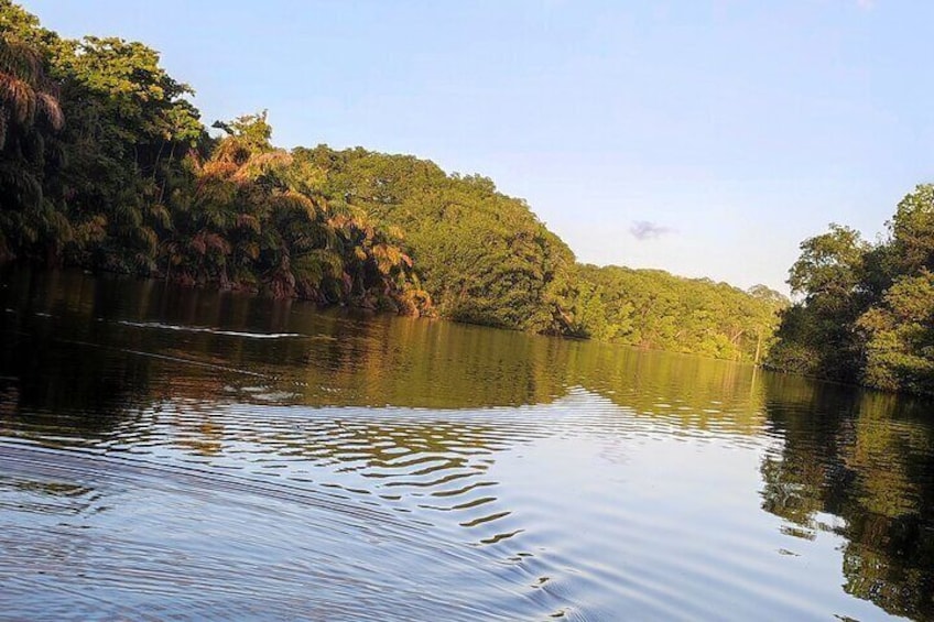  Kayaking Tour in Gandoca Lagoon throug mangrove forest