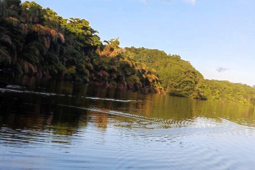  Kayaking Tour in Gandoca Lagoon throug mangrove forest