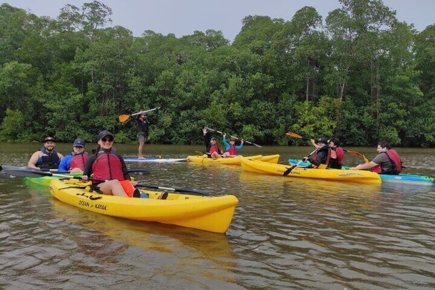 3 Hour Kayaking Tour in Gandoca Lagoon