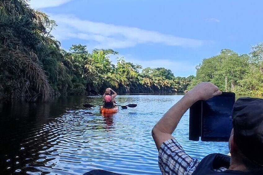  Kayaking Tour in Gandoca Lagoon throug mangrove forest