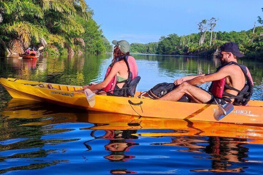  Kayaking Tour in Gandoca Lagoon throug mangrove forest