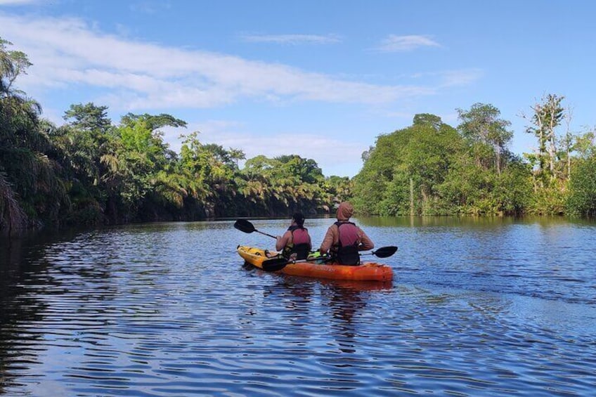  Kayaking Tour in Gandoca Lagoon throug mangrove forest