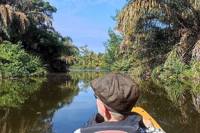  Kayaking Tour in Gandoca Lagoon throug mangrove forest