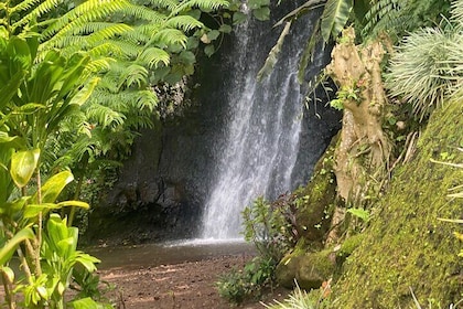 Discovery of Tahiti Nui Island