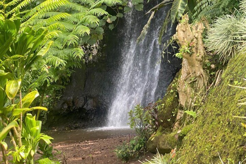 The little waterfall at the Vaipahi Garden 