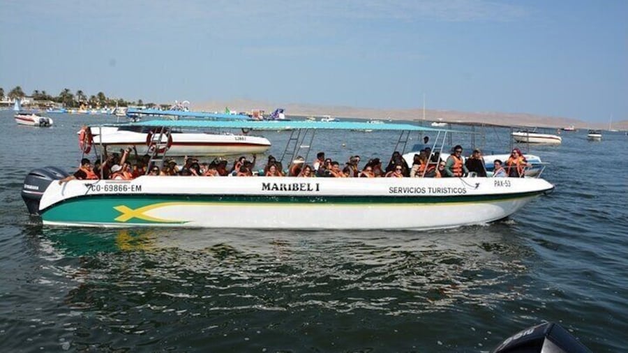 Ballestas Islands Excursion from Paracas
