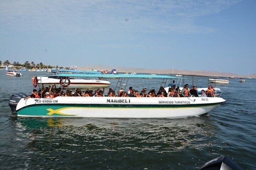 Ballestas Islands Excursion from Paracas