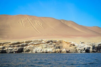 Ballestas Islands Excursion from Paracas