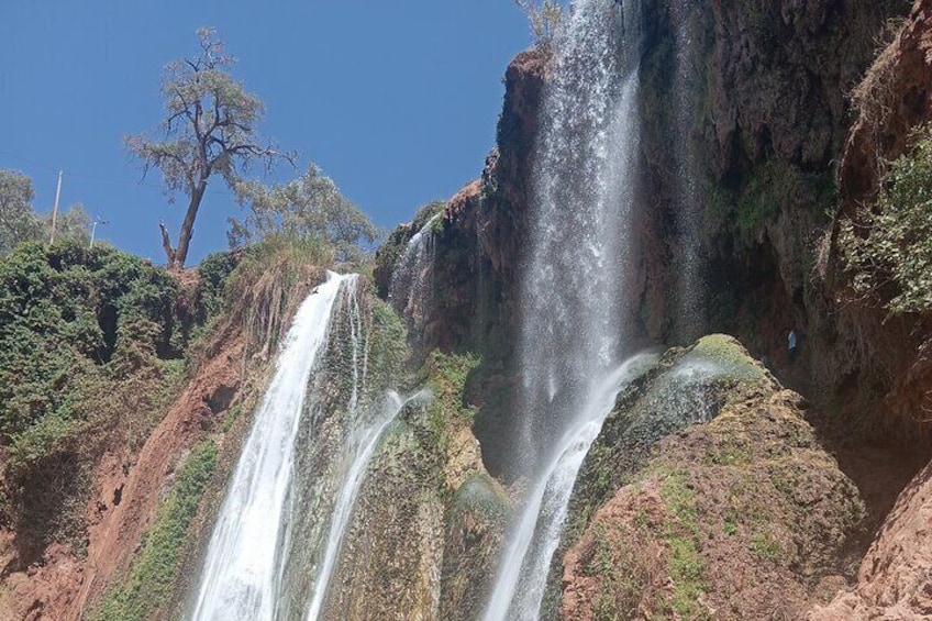 Marrakech to Ouzoud Waterfalls Day Tour