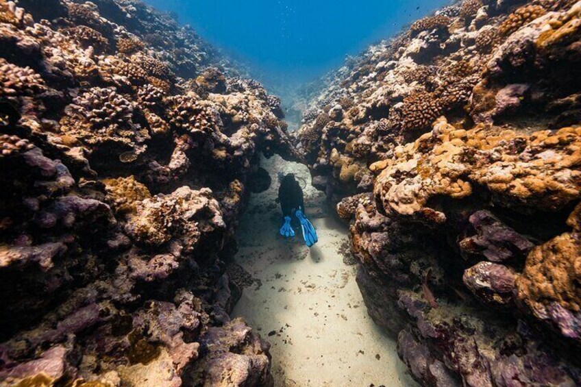 Moorea Fun Dive Initiation Diving