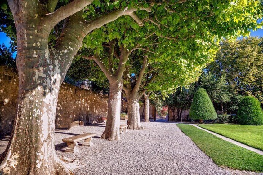 Explore Aix-en-Provence in 60 minutes with a Local