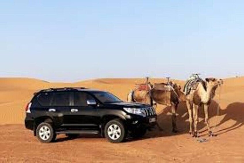 ERG CHIGAGA 4X4 AND CAMEL 