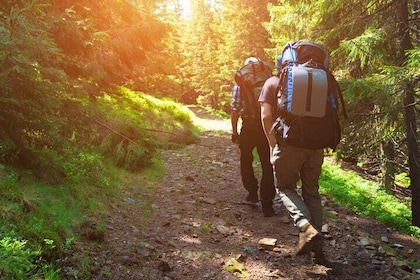 Private Hiking in Khao Yai National Park From Bangkok