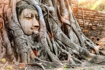 Private Guided Day Tour of the Ancient Ayutthaya