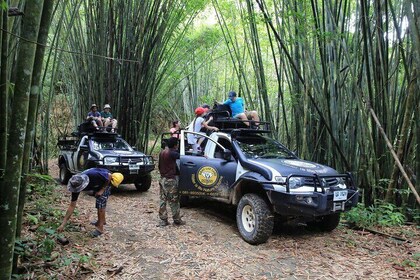 Off Road Safari and Khao Lak National Park Tour