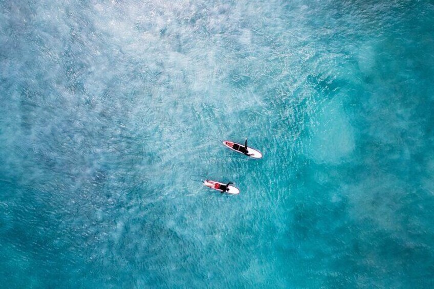 Learn to Surf in Paradise.