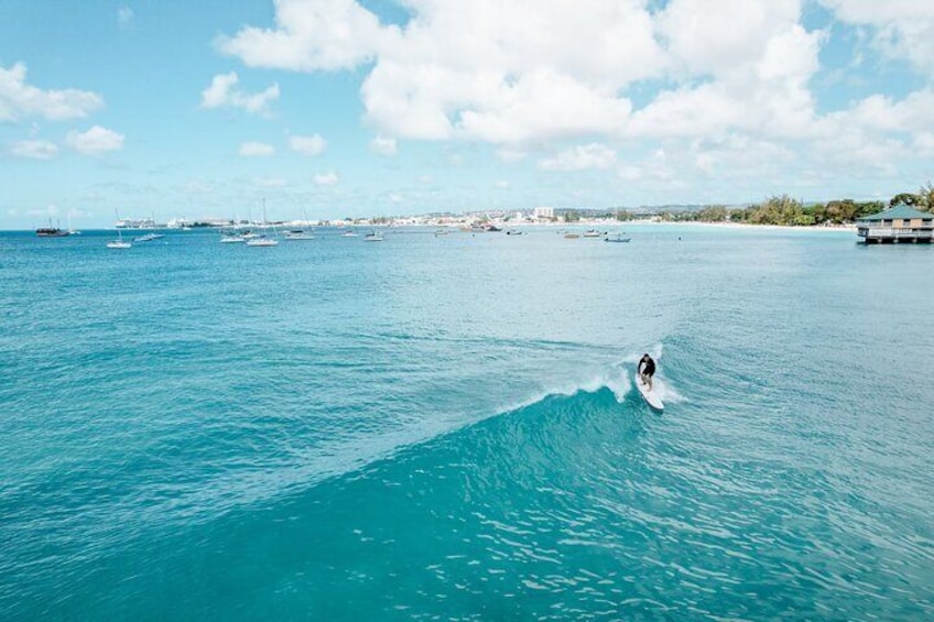 Learn to Surf in Paradise.