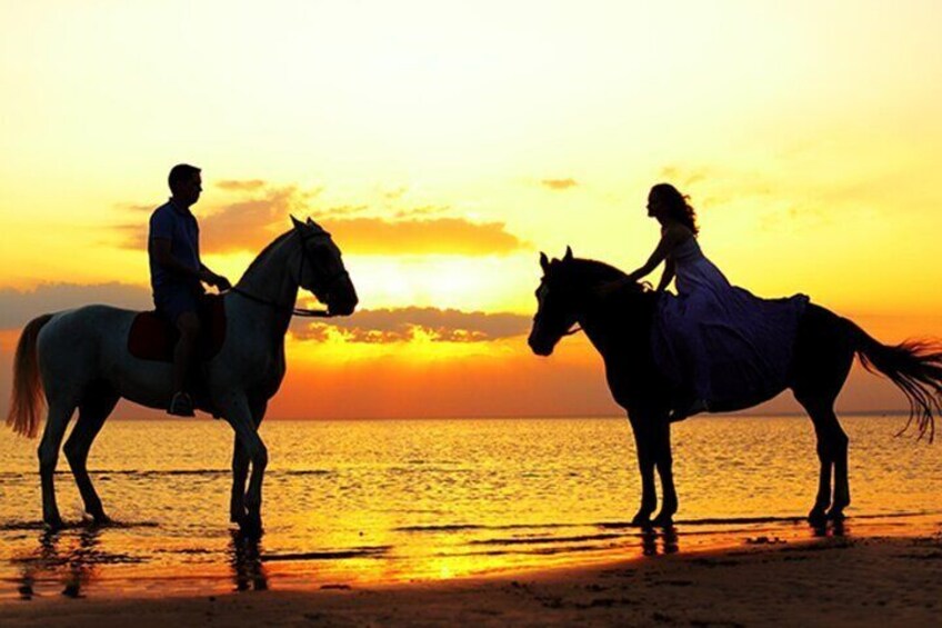 Taghazout Sunset Horse Riding On The Beach 
