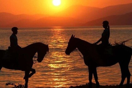 Taghazout Sunset Horse Riding On The Beach